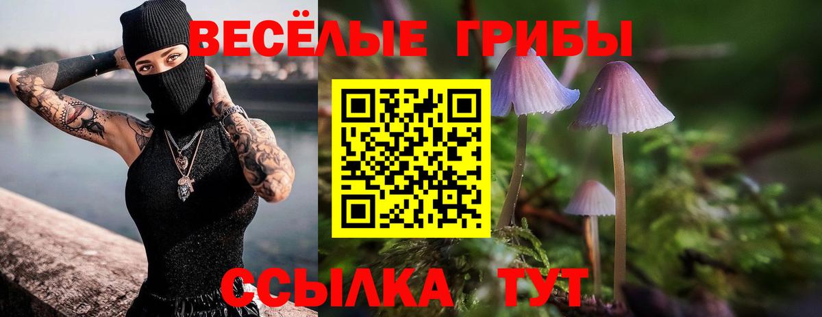 продажа наркотиков  Галлюциногенные грибы ЛСД  Вход с VPN  Жуковский 